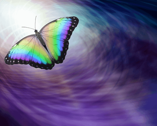 Papillon sur fond mauve de toutes les couleurs qui s'envole et vie à fond sa vie